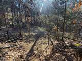13.5 Acres Buck Horn Road - Photo 7