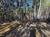 13.5 Acres Buck Horn Road - Photo 9