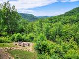 1441 Mountain Ash Way - Photo 67
