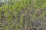 4246 Birds Creek Road Road - Photo 29