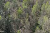 4246 Birds Creek Road Road - Photo 30