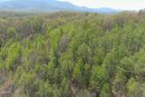 4246 Birds Creek Road Road - Photo 34