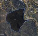 4246 Birds Creek Road Road - Photo 36