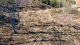 Lot 10 Bg Fox View Road - Photo 18