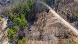 Lot 10 Bg Fox View Road - Photo 21