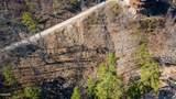Lot 10 Bg Fox View Road - Photo 23