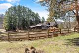 9111 Brownlow Newman Lane - Photo 44