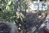 299 Harmony Way - Photo 46