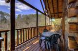 3223 White Falcon Way - Photo 6