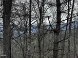 Lot 41 Black Maple Way - Photo 25