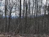 Lot 41 Black Maple Way - Photo 27