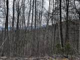 Lot 41 Black Maple Way - Photo 28
