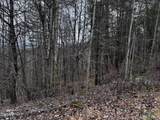 Lot 41 Black Maple Way - Photo 29
