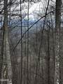 Lot 41 Black Maple Way - Photo 30