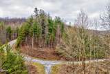 Lot 41 Black Maple Way - Photo 4