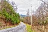 Lot 41 Black Maple Way - Photo 5
