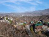 1274 Bear Cub Way Way - Photo 25