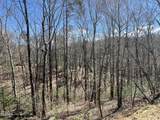 4010 Fox Hunters Lane - Photo 6