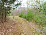 5 Acre Tr. Cedar School Road - Photo 10