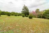 5 Acre Tr. Cedar School Road - Photo 11