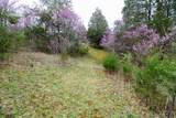 5 Acre Tr. Cedar School Road - Photo 17