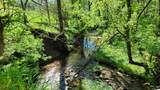 1909 Buck Hollow Road - Photo 3
