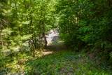 Lot 23 Red Wolfe Road - Photo 4