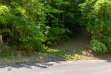 Lot 23 Red Wolfe Road - Photo 8