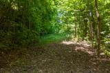 Lot 23 Red Wolfe Road - Photo 9