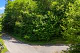 Lot 22 Wild Azalea Lane - Photo 3