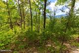 Lot 71 Vixen Run - Photo 3
