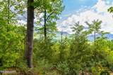 Lot 71 Vixen Run - Photo 6