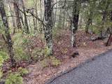 Lot 1 Mountain View Lane - Photo 4