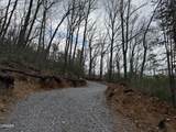3.93 Green Forest Road - Photo 14