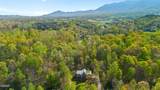 3851 Mistletoe Loop - Photo 38