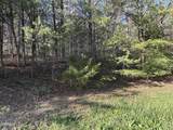 Lot 1 Timber Trail - Photo 2