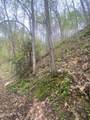 2744 Black Walnut Flats Road - Photo 42