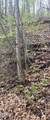 2744 Black Walnut Flats Road - Photo 49