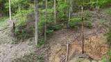 Lot 33 Black Walnut Flats Road - Photo 1