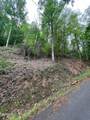 Lot 33 Black Walnut Flats Road - Photo 4