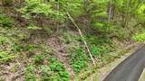 Lot 27 Black Walnut Flats Road - Photo 2