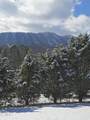 1220 Sugar Loaf Road - Photo 39