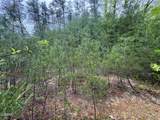 376 Summer House Hollow Road - Photo 11