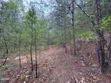 376 Summer House Hollow Road - Photo 12