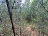 376 Summer House Hollow Road - Photo 13