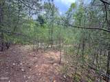 376 Summer House Hollow Road - Photo 14