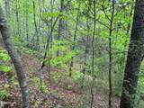 376 Summer House Hollow Road - Photo 15