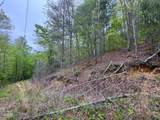 376 Summer House Hollow Road - Photo 4