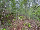 376 Summer House Hollow Road - Photo 5