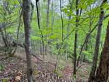 376 Summer House Hollow Road - Photo 6